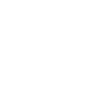 p101